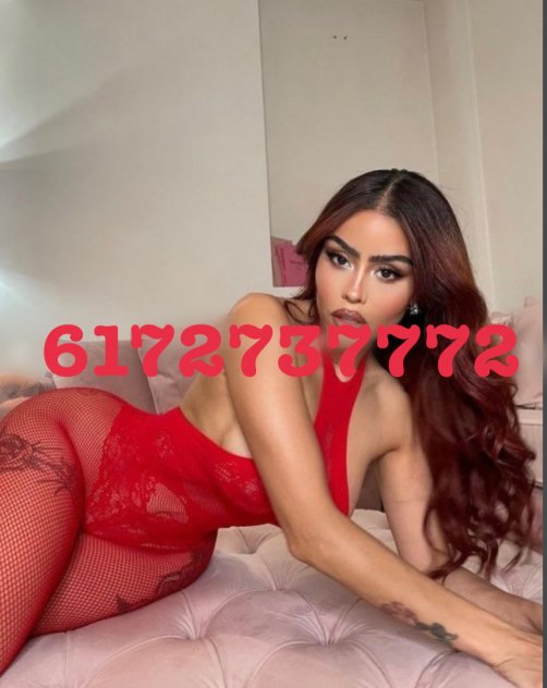 Female escort in Providence (Ts patricia visiting
) #2