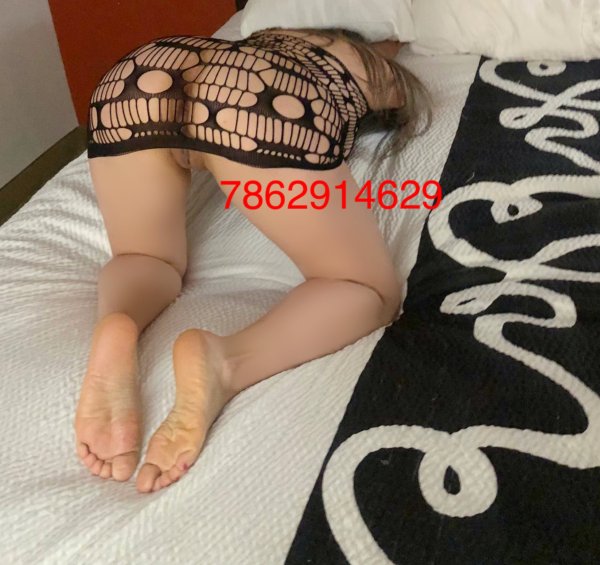 Female escort in Tampa (Airport Area
) #11