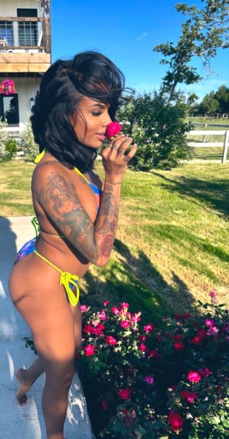 Come here kitty kitty
