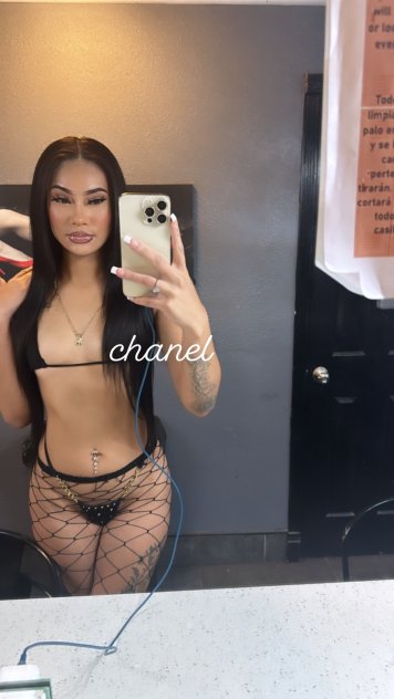 Female escort in Los Angeles  (🦋💛Chanel, your favorite Highclass Bombshell 💛🦋 Upscale Provider
) #7