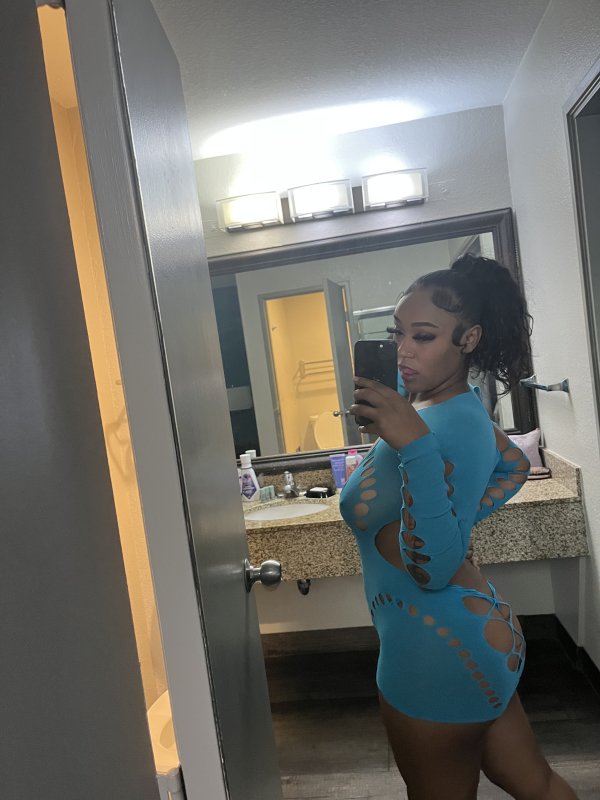 Fine mixed breed In Town Airport Area⭐️⭐️⭐️⭐️⭐️Available 24/7 !
