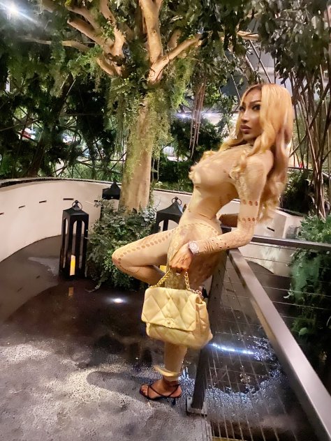 Adult Model Upscale Professional Elite and very fine !
